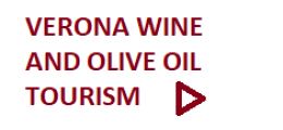 VERONA WINE AND OLIVE OIL TOURISM